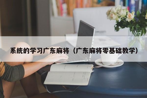 系统的学习广东麻将(广东麻将零基础教学)