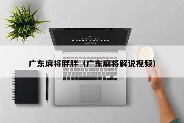 广东麻将胖胖(广东麻将解说视频)