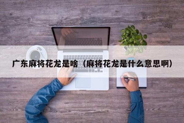 广东麻将花龙是啥(麻将花龙是什么意思啊)