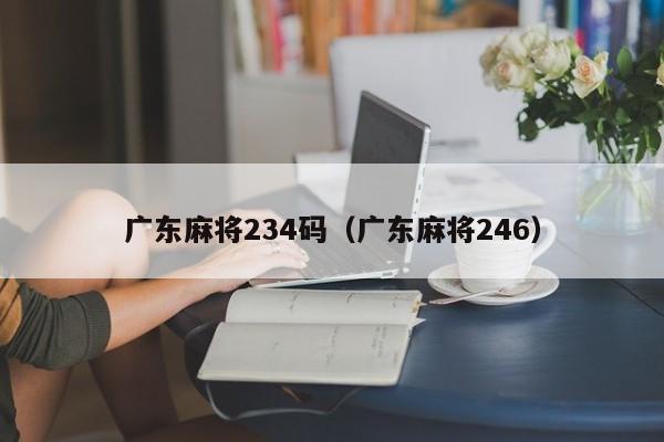 广东麻将234码(广东麻将246)