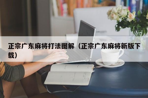 正宗广东麻将打法图解(正宗广东麻将新版下载)