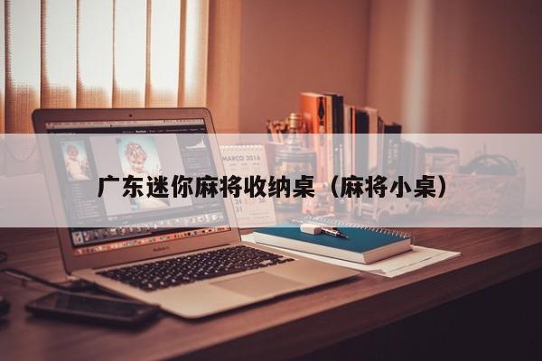 广东迷你麻将收纳桌(麻将小桌)