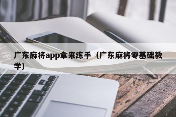 广东麻将app拿来练手(广东麻将零基础教学)