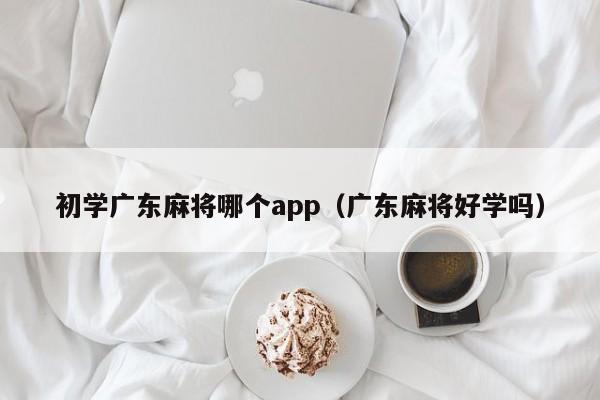 初学广东麻将哪个app(广东麻将好学吗)