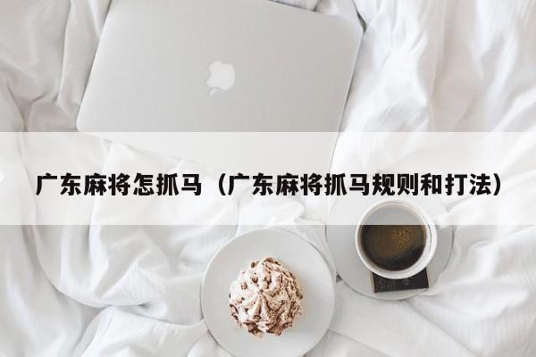 广东麻将怎抓马(广东麻将抓马规则和打法)